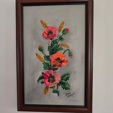 Gorgeous House בית אירוח Ponta Delgada