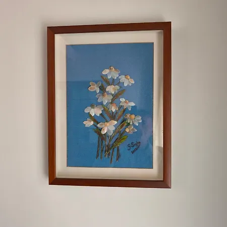 Gorgeous House * Ponta Delgada