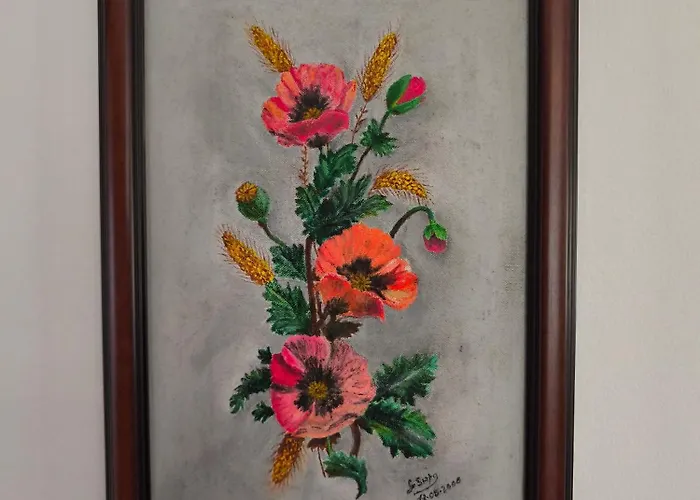 Gorgeous House Accommodatie bij particulieren Ponta Delgada